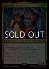 画像: 【日本語Foil】獰猛な戦士、ウルヴァリン/Wolverine, Fierce Fighter
