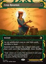 画像: ☆特殊枠【英語】輪作/Crop Rotation