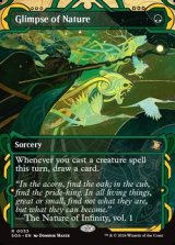 画像: ☆特殊枠【英語】垣間見る自然/Glimpse of Nature