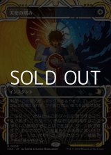 画像: ☆特殊枠【日本語】天使の嗜み/Angel's Grace