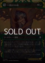 画像: ☆特殊枠【日本語Foil】一繋がりの根/Shared Roots
