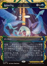 画像: ☆特殊枠【日本語Foil】白日の下に/Bring to Light
