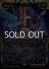 画像: ☆特殊枠【日本語】白日の下に/Bring to Light