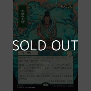 画像: ◇日本画【日本語】巫師の天啓/Shamanic Revelation