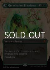 画像: ☆特殊枠【英語】発芽の実習/Germination Practicum