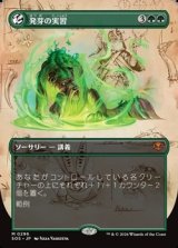 画像: ☆特殊枠【日本語】発芽の実習/Germination Practicum