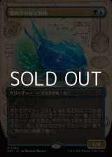 画像: ☆特殊枠【日本語】幾何学の節足動物/Geometer's Arthropod