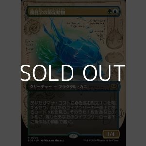 画像: ☆特殊枠【日本語Foil】幾何学の節足動物/Geometer's Arthropod