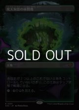 画像: ☆特殊枠【日本語】死天狗茸の林間地/Deathcap Glade