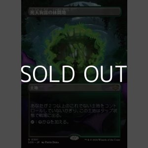 画像: ☆特殊枠【日本語Foil】死天狗茸の林間地/Deathcap Glade