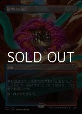 画像: ☆特殊枠【日本語】嵐削りの海岸/Stormcarved Coast