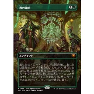 画像: ☆特殊枠【日本語】森の知恵/Sylvan Library