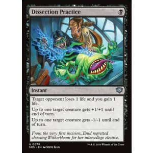 画像: 【英語】解剖実習/Dissection Practice