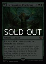 画像: 【英語】発芽の実習/Germination Practicum