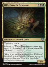 画像: 【英語】古株の教育者/Old-Growth Educator