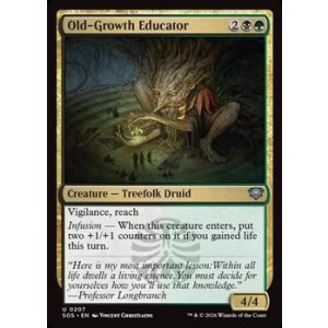 画像: 【英語Foil】古株の教育者/Old-Growth Educator