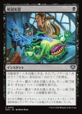 画像: 【日本語】解剖実習/Dissection Practice