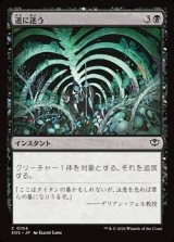 画像: 【日本語】道に迷う/Wander Off