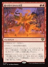 画像: 【日本語】振り付けされた火花/Choreographed Sparks