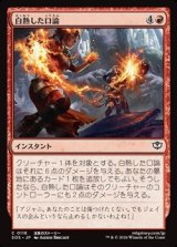 画像: 【日本語】白熱した口論/Heated Argument