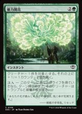 画像: 【日本語】能力開花/Efflorescence