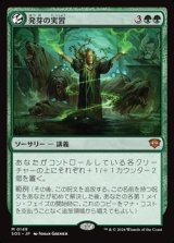 画像: 【日本語】発芽の実習/Germination Practicum