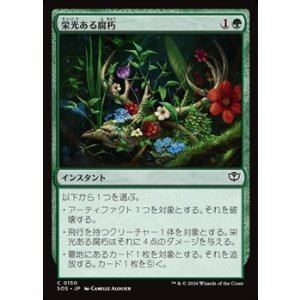 画像: 【日本語Foil】栄光ある腐朽/Glorious Decay