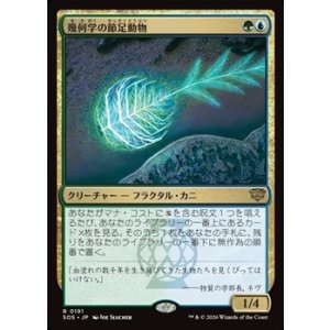 画像: 【日本語Foil】幾何学の節足動物/Geometer's Arthropod