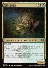 画像: 【日本語】古株の教育者/Old-Growth Educator