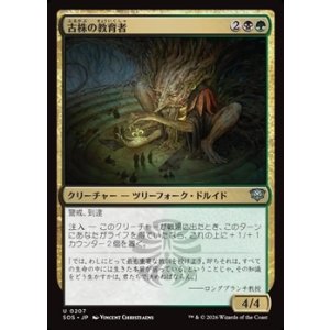 画像: 【日本語Foil】古株の教育者/Old-Growth Educator