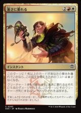 画像: 【日本語】暑さに萎れる/Wilt in the Heat