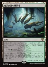 画像: 【日本語】死天狗茸の林間地/Deathcap Glade