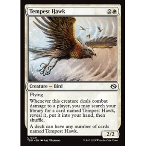画像: 【英語】大嵐の鷹/Tempest Hawk
