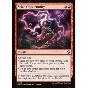 画像: 【英語】捕獲の好機/Seize Opportunity