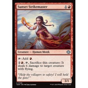 画像: 【英語】夕日の拳聖/Sunset Strikemaster
