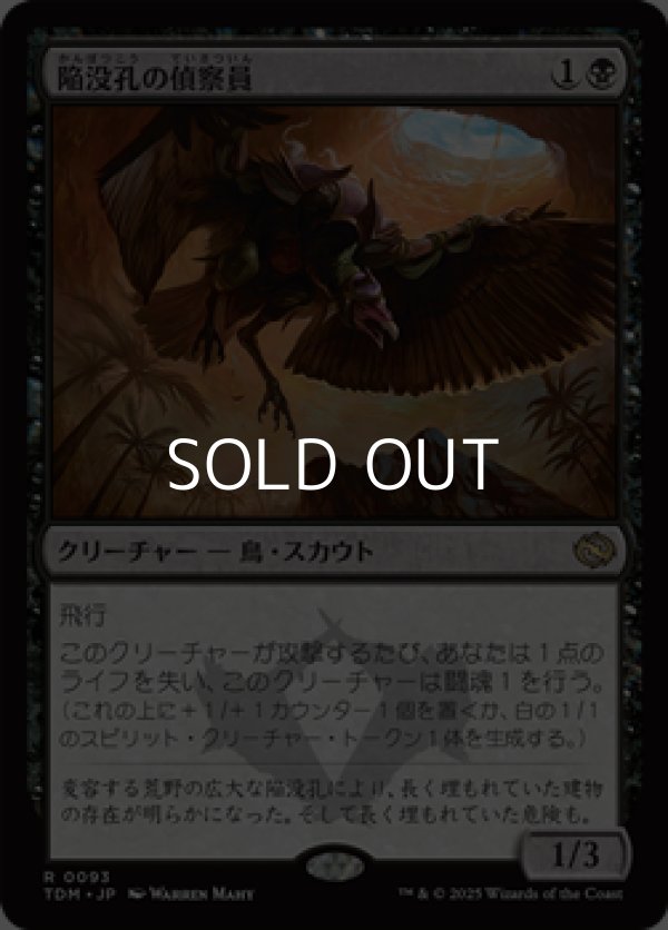 画像1: 【日本語】陥没孔の偵察員/Sinkhole Surveyor (1)