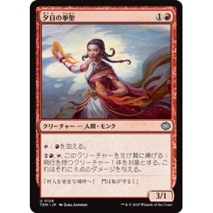 画像: 【日本語】夕日の拳聖/Sunset Strikemaster