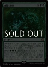 画像: 【日本語】自然の律動/Nature's Rhythm