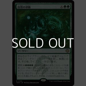 画像: 【日本語】自然の律動/Nature's Rhythm