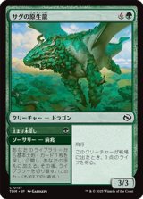 画像: 【日本語】サグの原生龍/Sagu Wildling