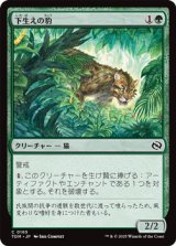 画像: 【日本語】下生えの豹/Undergrowth Leopard