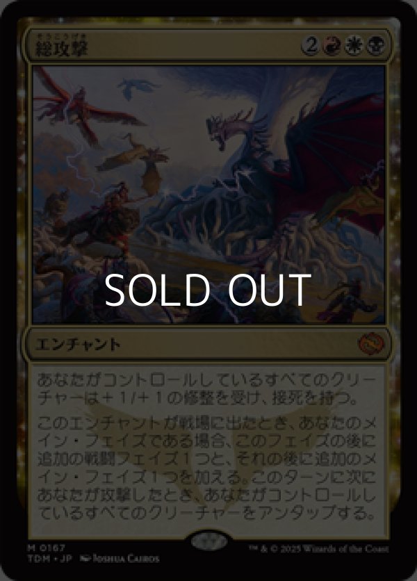 画像1: 【日本語】総攻撃/All-Out Assault (1)