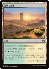 画像: 【日本語】花咲く砂地/Blossoming Sands