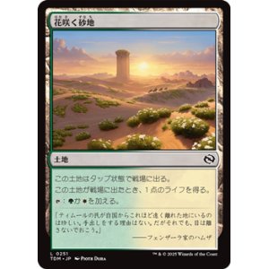 画像: 【日本語】花咲く砂地/Blossoming Sands