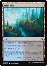 画像: 【日本語】陰鬱な僻地/Dismal Backwater