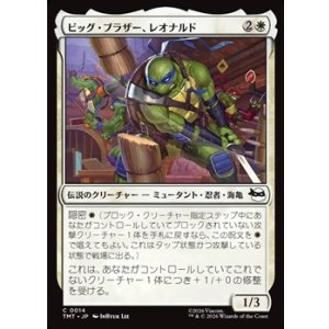 画像: 【日本語】ビッグ・ブラザー、レオナルド/Leonardo, Big Brother