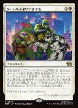 画像: 【日本語】タートルズよいつまでも/Turtles Forever