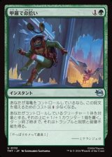 画像: 【日本語】甲羅で命拾い/Saved by the Shell