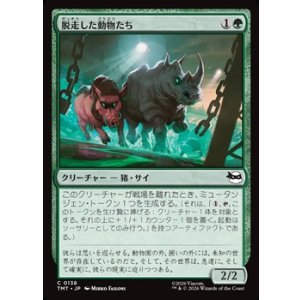 画像: 【日本語Foil】脱走した動物たち/Zoo Escapees