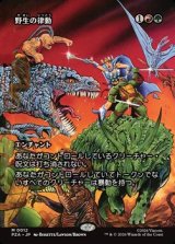 画像: ☆特殊枠【日本語】野生の律動/Rhythm of the Wild